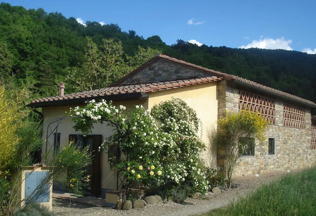 Il Cielo Bio - Il più piccolo B&B del Chianti-1