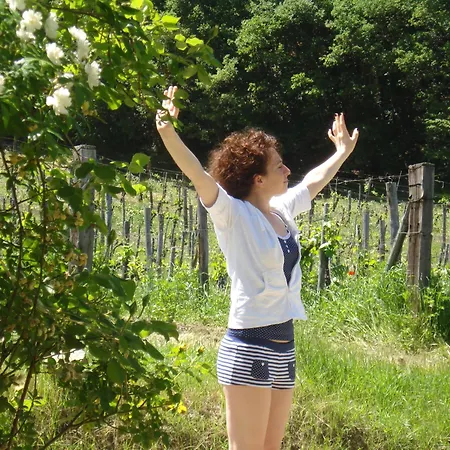 Il Cielo Bio - Il più piccolo B&B del Chianti-3